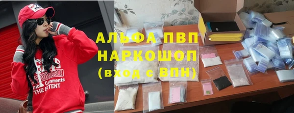 ПСИЛОЦИБИНОВЫЕ ГРИБЫ Алзамай