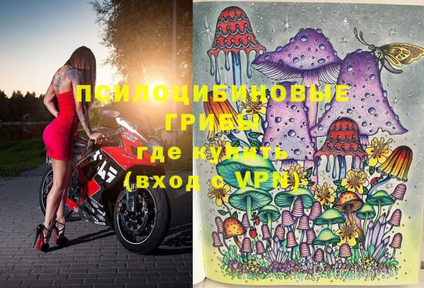 ПСИЛОЦИБИНОВЫЕ ГРИБЫ Алзамай