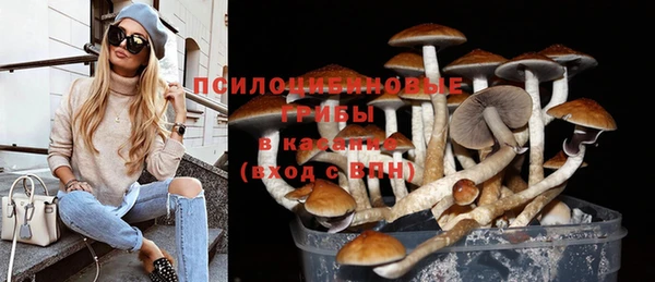 кокс Алексеевка